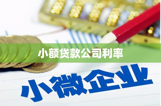 古田小额贷款公司利率