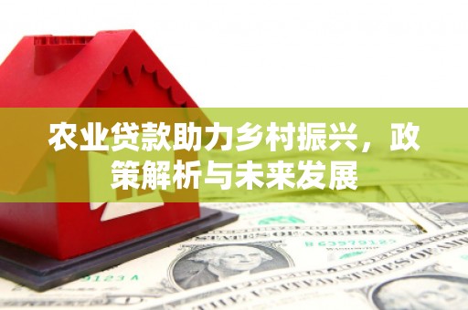 古田农业贷款助力乡村振兴，政策解析与未来发展