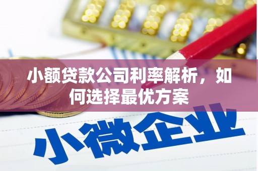 古田小额贷款公司利率解析，如何选择最优方案
