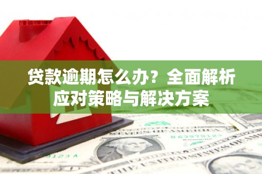 古田贷款逾期怎么办？全面解析应对策略与解决方案
