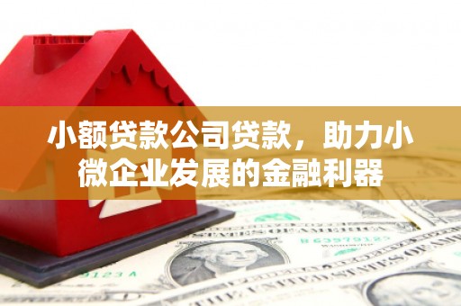 古田小额贷款公司贷款，助力小微企业发展的金融利器