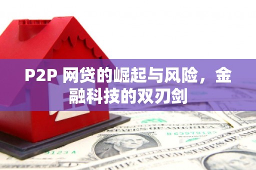 古田P2P 网贷的崛起与风险，金融科技的双刃剑