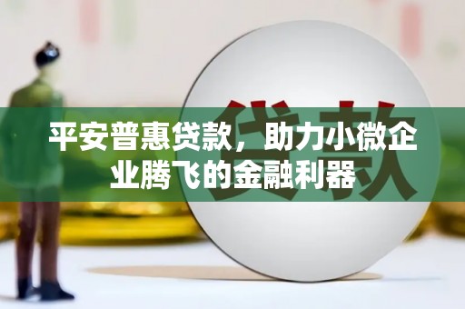 古田平安普惠贷款，助力小微企业腾飞的金融利器