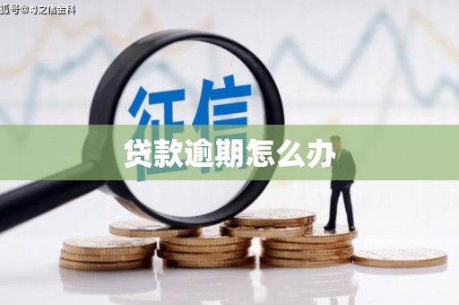 古田贷款逾期怎么办