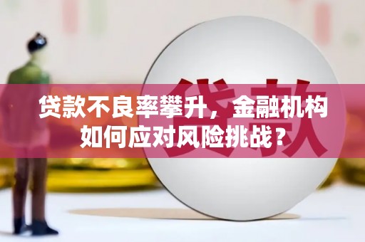 古田贷款不良率攀升，金融机构如何应对风险挑战？