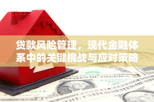 古田贷款风险管理，现代金融体系中的关键挑战与应对策略