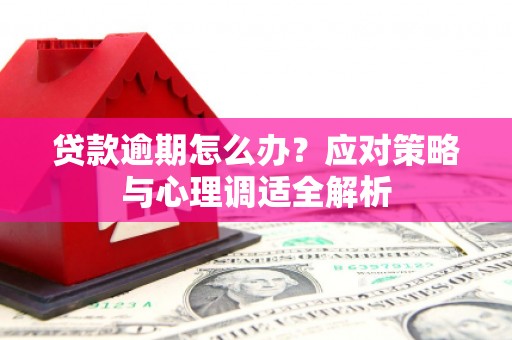 古田贷款逾期怎么办？应对策略与心理调适全解析